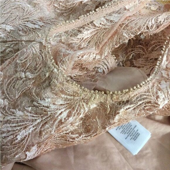ADRIANNA PAPELL Embroidered Cocktail Dress  Champagne Rose Women size 4 NWT $199 - Picture 6 of 8